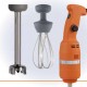 MIXER AD IMMERSIONE PROFESSIONALE CON FRUSTA E MESCOLATORE DA 250 mm