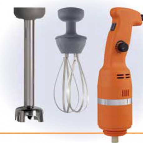MIXER AD IMMERSIONE PROFESSIONALE CON FRUSTA E MESCOLATORE DA 250 mm