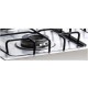 Cucina professionale 4 fuochi casta