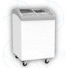 CONGELATORE A POZZETTO CON VETRI CURVI  -2 Baskets